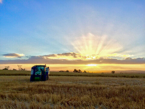 Chaser bin lit up at sundown