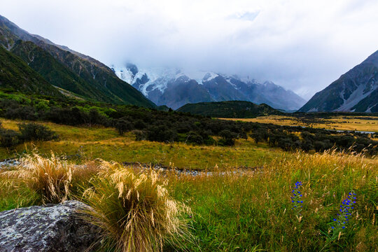 View across a valley with golden grasses glowing in the stormy light and shrouded snow mountain