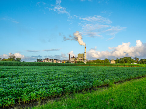 The Condong Sugar Cane Mill near Murwillumbah