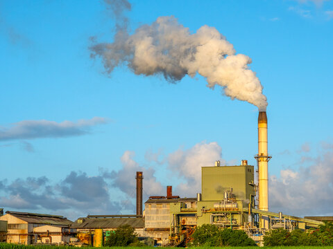 Condong Sugar Cane Mill near Murwillumbah