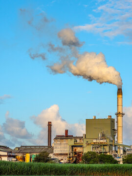 Condong Sugar Cane Mill near Murwillumbah