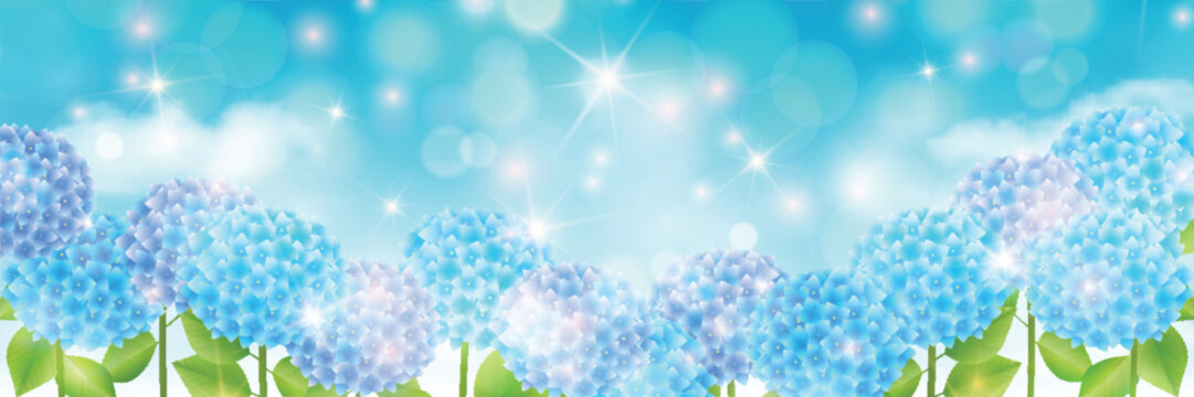 Beautiful blue hydrangea flowers on a sparkling sky background