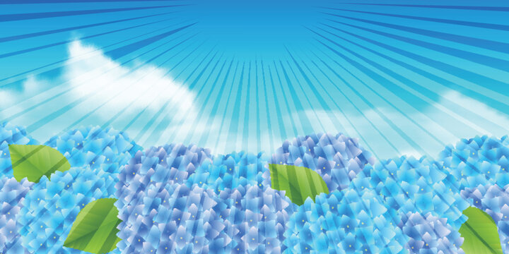 Vibrant Blue Hydrangea Flowers Under a Radiant Sunny Sky