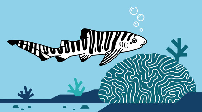 Striped Zebra Shark Swimming Underwater Near Coral Reef.