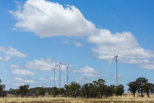 Farming landscape with white wind turbines above gum trees in rural paddock