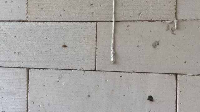 Lightweight Brick Walls for Construction