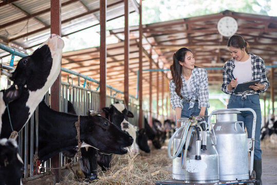 Two Asian female farmers managing milk production and transporting fresh milk cans in a professional dairy farm setting.