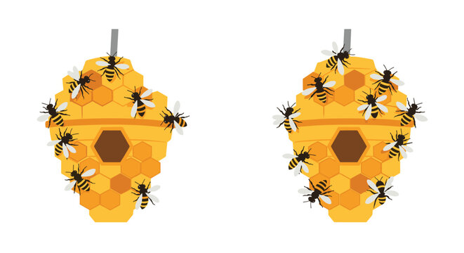 Illustration of two golden honey beehives with many honeybees flying around them, symbolizing nature s industriousness and the production of honey.