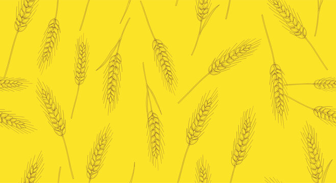Creative seamless pattern showing sketched wheat stalks and grains in brown ink over a solid bright yellow background for farming.