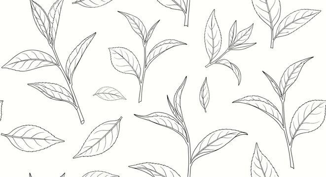 Minimalist seamless pattern of hand-drawn tea leaf sketches in black ink over a clean white background for organic packaging.
