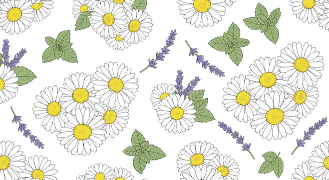 Seamless pattern of fresh white daisies, purple lavender sprigs, and green mint leaves on a white background for wellness.