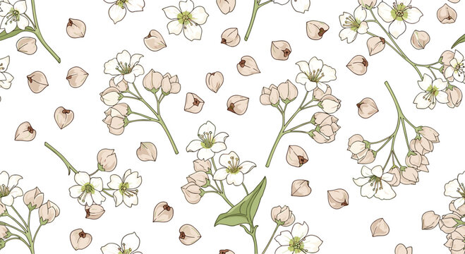 Small white buckwheat flowers and heart-shaped seeds form a delicate seamless botanical pattern on a plain background.