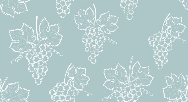Elegant seamless pattern depicting white-ink sketches of grape clusters and leaves on a soft dusty-blue background.