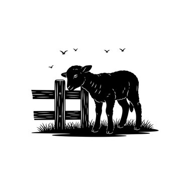 Little Lamb by a Fence in the Meadow Vector Illustration