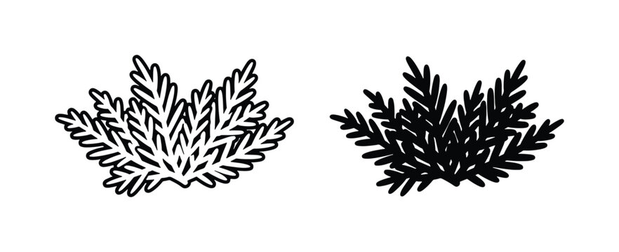 Hand drawn pine branch vector icons, black and white evergreen sprig illustrations, minimalist conifer foliage elements for winter holiday design
