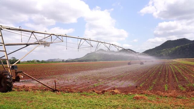 Automated center pivot irrigation system watering a large farm field. Smart agriculture technology for efficient crop growth with mountains in the background.