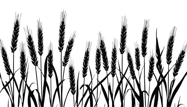 Wheat stalks silhouettes form an agricultural landscape border across the bottom of the frame to suggest a bountiful harvest and rural countryside themes for various commercial branding applications.