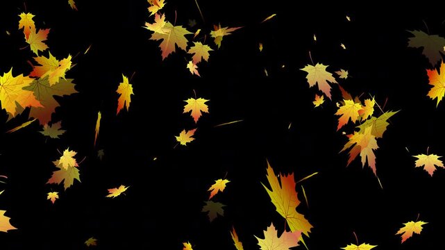 Falling autumn flower overlay on transparent background with elegant petal motion 4K video resolution.