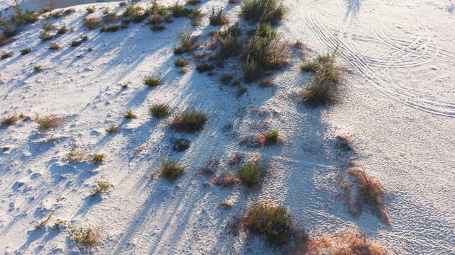 Explore white sand dunes in binh thuan vietnam for scenic views and nature experience.