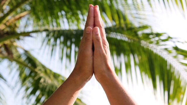 Hands in prayer pose against palm tree