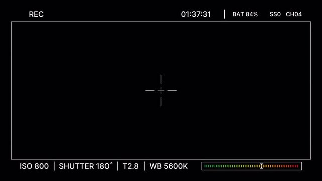 Professional video recording interface with ISO, shutter, aperture, white balance settings for overlay. Camera recording screen with Minimal flat HUD design for editing. Filmmaking screen overlay. 4K