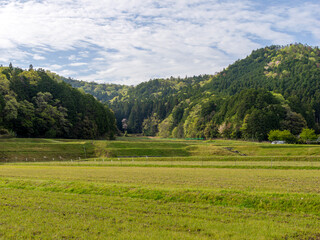 Fototapeta premium 京都府南丹市に広がる棚田の風景