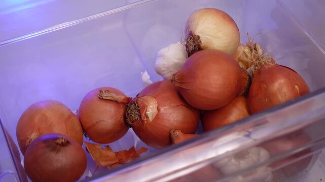 Onions and garlic in a clear storage bin