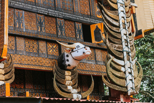 Toraja Heritage: Traditional Tongkonan Houses and Cultural Legacy of South Sulawesi