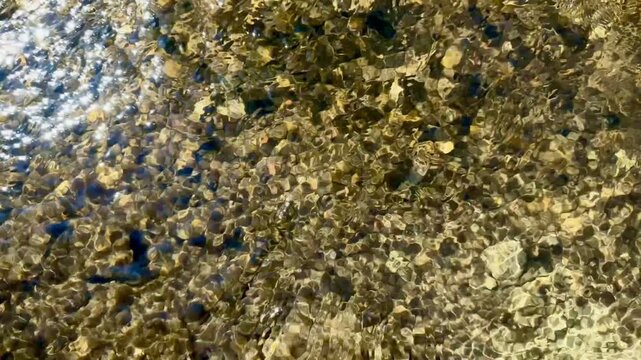 Clear flowing river water over smooth riverbed stones, sunlight reflection, ripple texture, tranquil nature scene