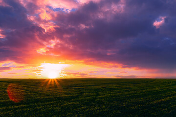 Fototapeta premium Dramatic colorful sunset over a green agricultural field