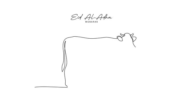 Cow Symbol For Eid Al Adha. Eid Al adha Concept. Single line draw design Video 4k. Footage graphic illustration