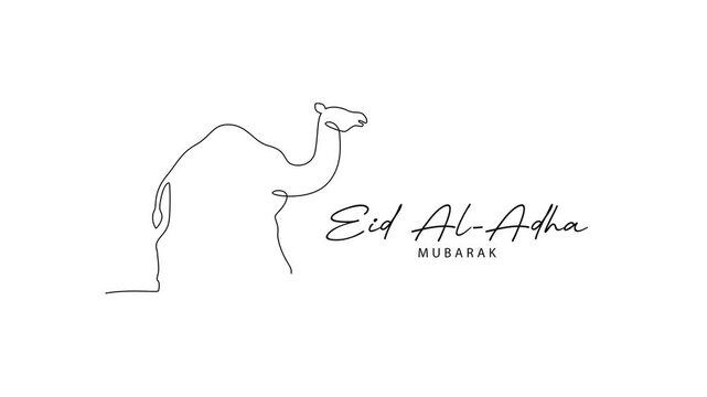Camel Symbol Celebrating Eid Al Adha. Eid Al adha Concept. Single line draw design Video 4k. Footage graphic illustration