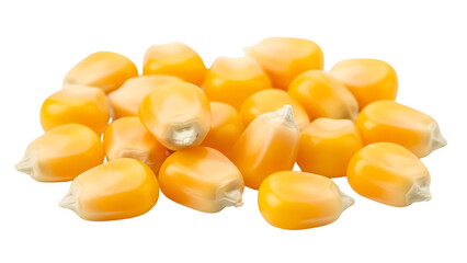 Fototapeta premium Golden Popcorn Kernels Heap Isolated On White Background