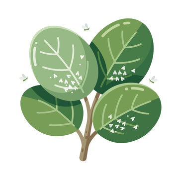 Plant leaves with whitefly clusters. Agricultural pest infestation and garden care. Flat vector illustration