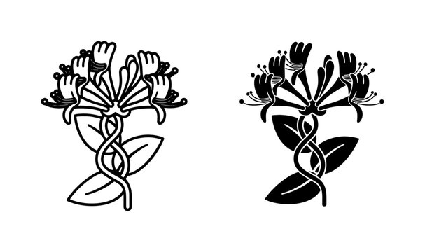 Honeysuckle Flower Line Art and Silhouette Icons