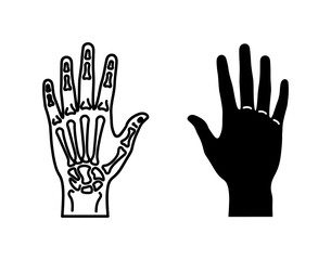 Obraz premium Human Hand Bone Structure and Silhouette Vector Set