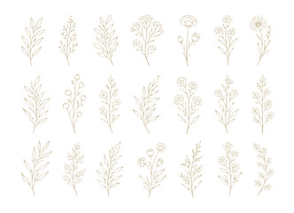 Set of delicate botanical illustrations featuring various leaves and flowers. © Kasasagi