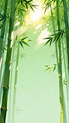 Obraz premium Bamboo forest with sunlight