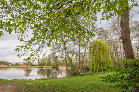 Garden with trees and a lawn by the water. The photo was taken on a slightly cloudy day at the beginning of the Dutch spring season.