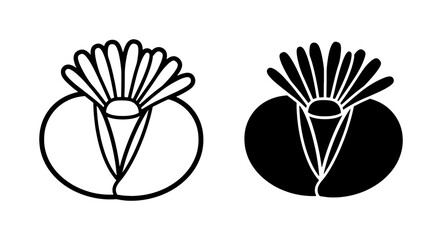 Obraz premium Lithops Living Stone Succulent Flower Outline Silhouette Icon