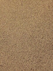 Fototapeta premium Fine Beige Sand Texture Background Surface