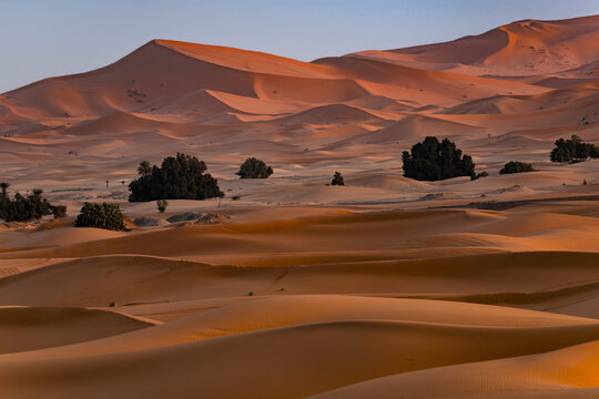 Sahara W&uuml;ste bei Sonnenaufgang, Merzouga, Marokko 