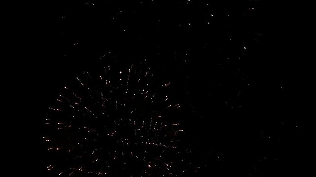 夜空に大きく開く金色の打ち上げ花火のスローモーション映像