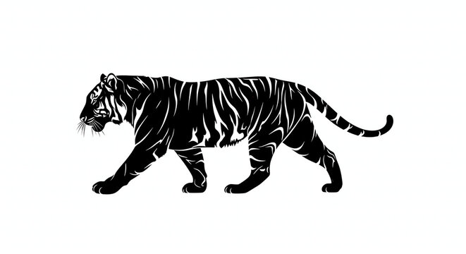 A vector silhouette of a tiger in a walking pose, showcasing detailed stripe patterns through high-contrast black and white design.