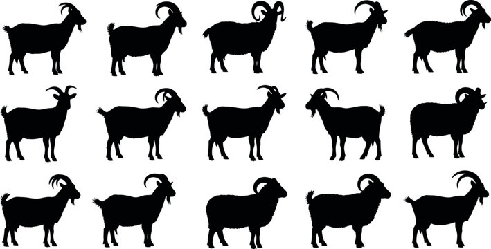 Silhouette collection of goats diverse poses and horn shapes