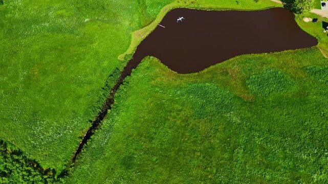 Follow a large bird soaring above a picturesque patchwork of green and yellow agricultural fields.