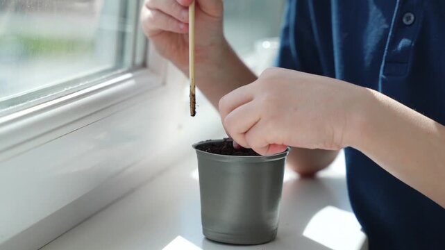 A child using a wooden stick to plant a seedling in a plastic pot on a windowsill, educational family activity, springtime festivity.