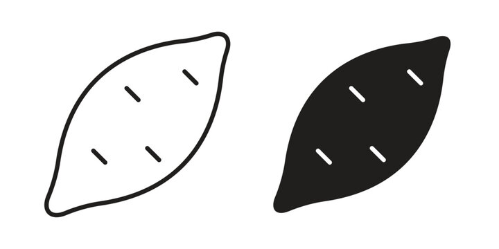 Sweet potato icon symbol vector elements for infographic web. EPS10