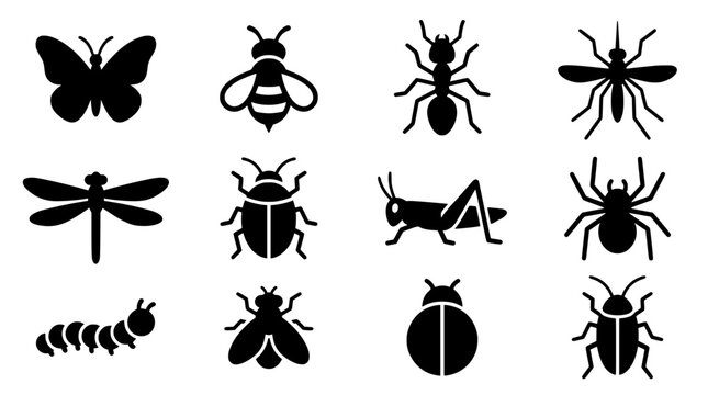 insects and bugs flat design vector illustration