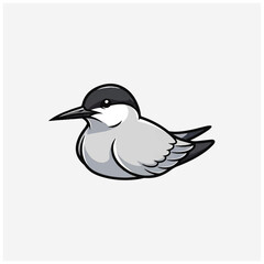 Fototapeta premium Little Black Headed Seagull Bird.